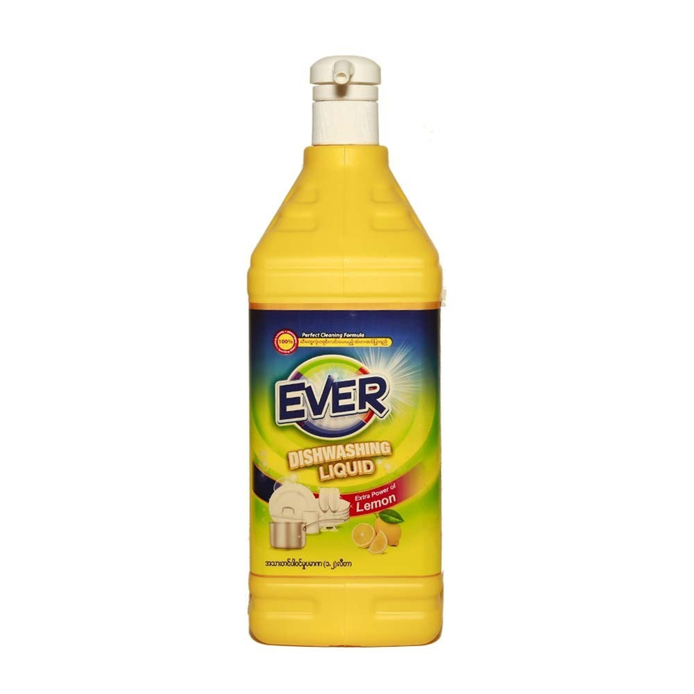Ever Dishwashing Liquid (1.2L)