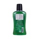 Closeup Mouthwash Nature Boost 500ML