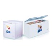 T-Home Chest Freezer 100LTR TH-KFZ100C