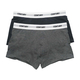 Century Trunk 2`S Small Gray No.002