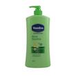 Vaseline Lotion Intensive Aloe Soothe 550ML