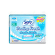 Sofy Cooling Fresh Wing Day 10 PCS 25CM