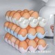 Plastic Egg Tray