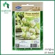 Harvest Shop ရွှေဖရုံဖြူအသေးမျိုးစေ့ HPK 004