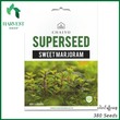 Harvest Shop Sweet Marjoram Seeds S 016