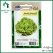 Harvest Shop Frillice Iceberg ဆလတ်ထုပ်မျိုးစေ့ HSL 010