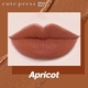 Cute Press Glam Matte Moist Lock Plumping Lipstick (05 Apricot)