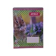 Apolo Exercise Book 55G P-80 12 PCS (Pro)