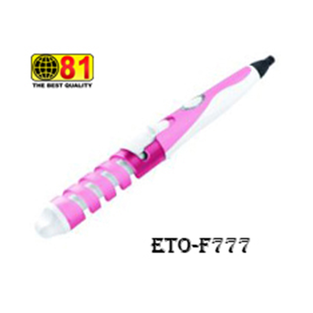 81 Electronic Hair Dryer F777