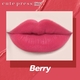 Cute Press Glam Matte Moist Lock Plumping Lipstick (04 Berry)