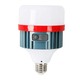 Rechargeable LED With Batteries Emergency Lamp 30W ELE0001028E