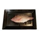 Fresh Tilapia Fish Whole