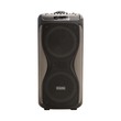 Alpha Double 10 Trolley Speaker ALS-210KR