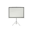 Euro Projector Tripod Screen 70X70IN