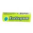 Lotte Gum Peppermint 12.5 Grams