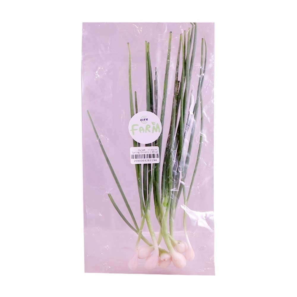 City Farm Spring Onion 30G