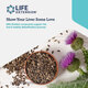 Milk Thistle (60 Softgels) LE00023