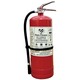 Rain Flower Fire Extinguisher MFZL-5KG (Red)