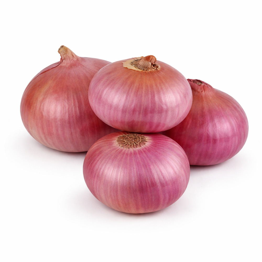 Onion 5KG