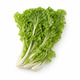 Golden Chinese Cabbage