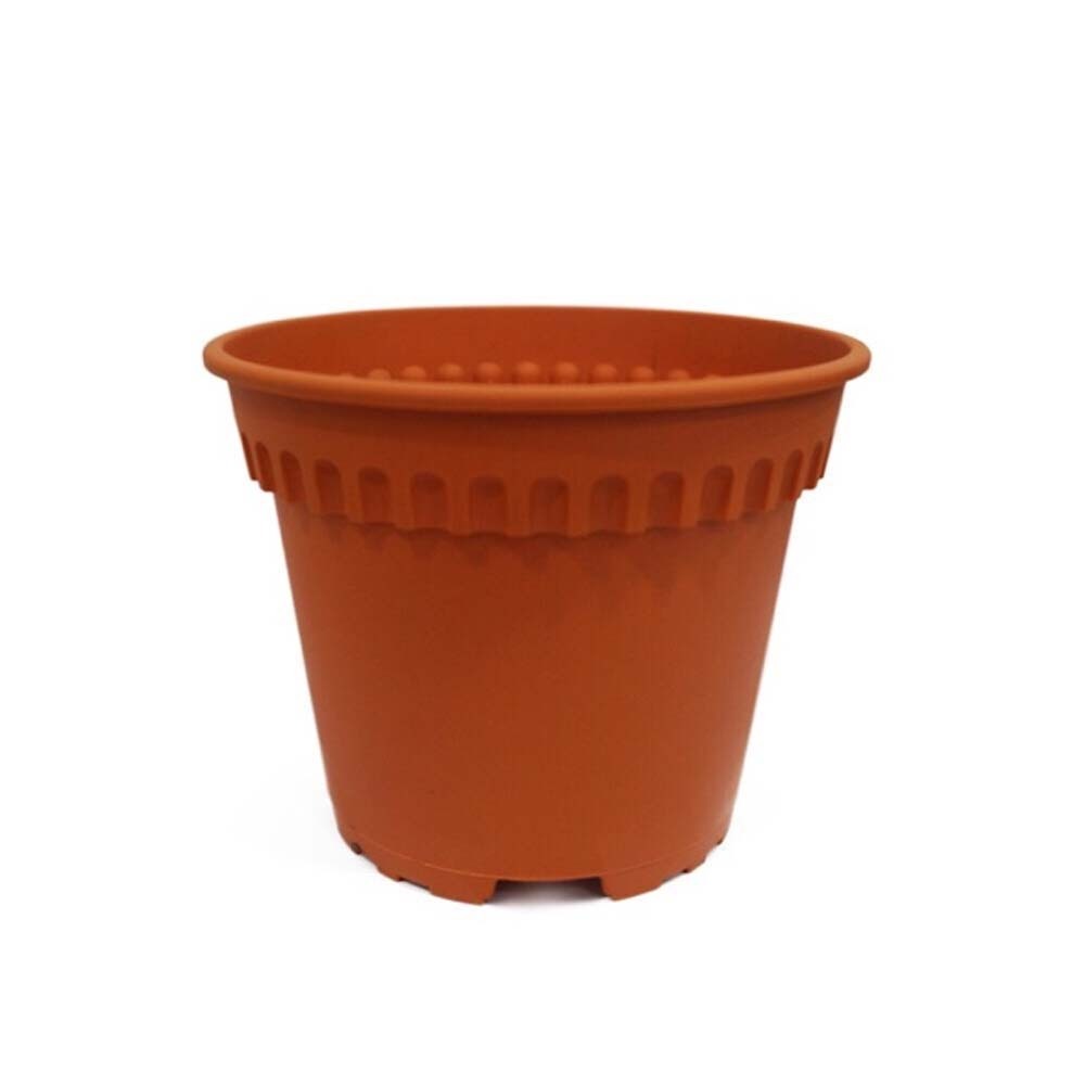 BABA BI-RD-120 Pot Cotta 5 x 4 IN