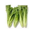 City Farm Chinese Green Mustard