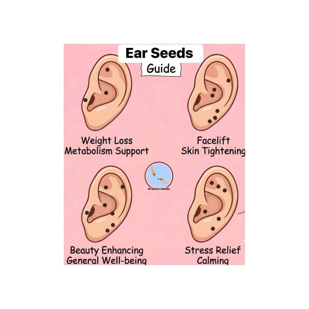 Beauty House Ear Seeds Massage Sticker 600PCS