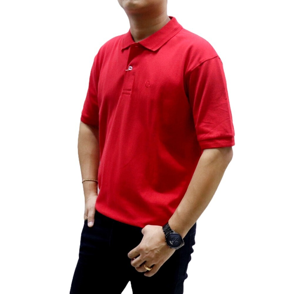 Cottonfield Men Polo Shirt C62 (Small)