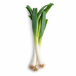 China Leek 500G