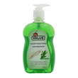 City Value Hand Soap Antibacterial Green Tea 500 ML