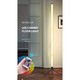 RGB Smart Ambience Floor Lamp Remote Control ESS-0000746