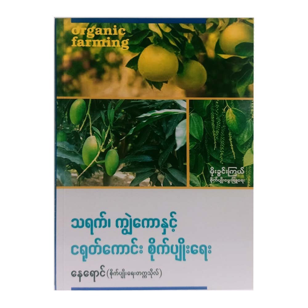 Agriculture Of Mango (Nay Yaung)
