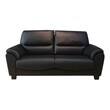 Cozy Jet Black Sofa (2 Seat)