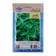 Home Garden Seed (Hoary Basil)