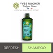 Refresh Shampoo 300ML 55440