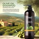 Olive Oil Shampoo 1000ML ( Cosmo Series )