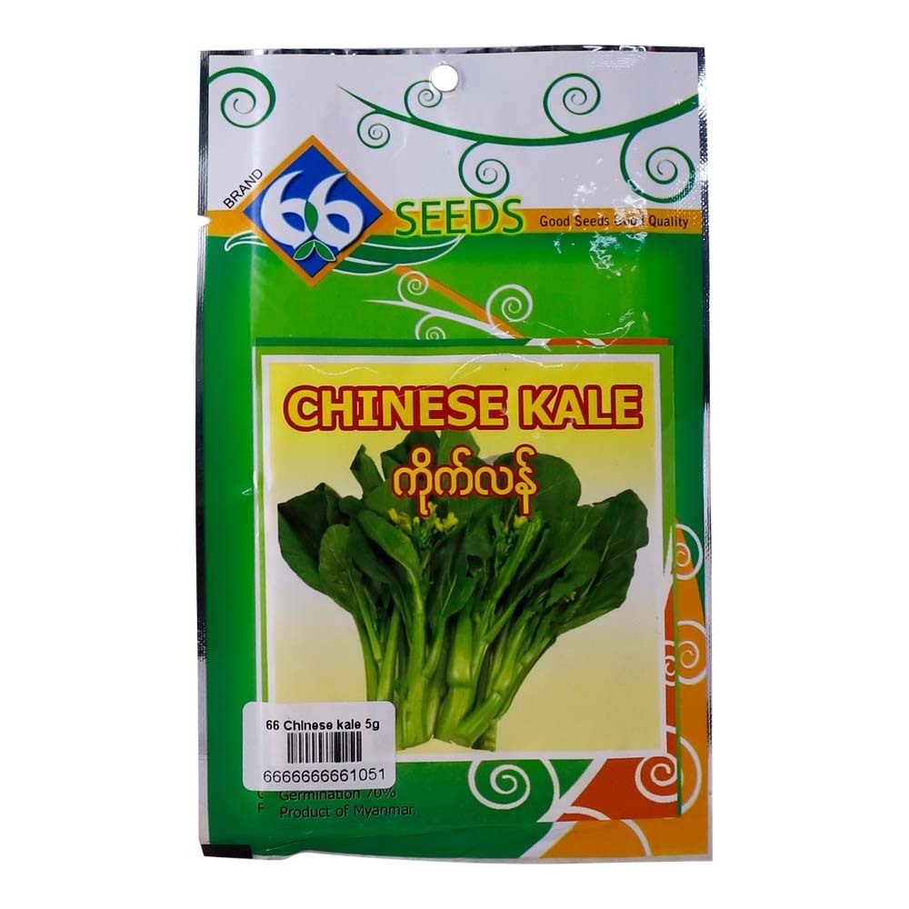 66 Chinese Kale Seed 5G