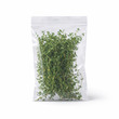 Fresco Thyme 30G