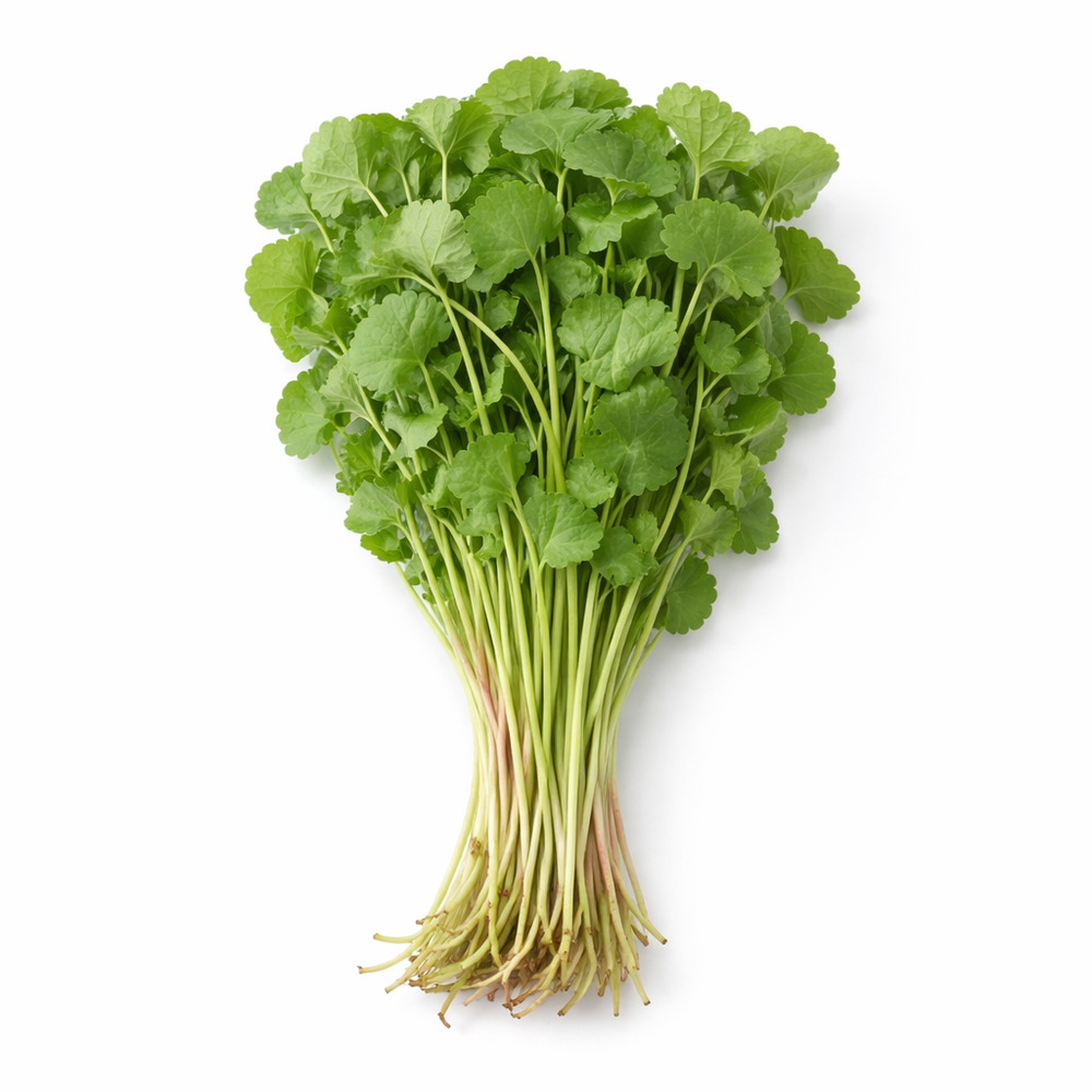 Indian Pennywort 150G