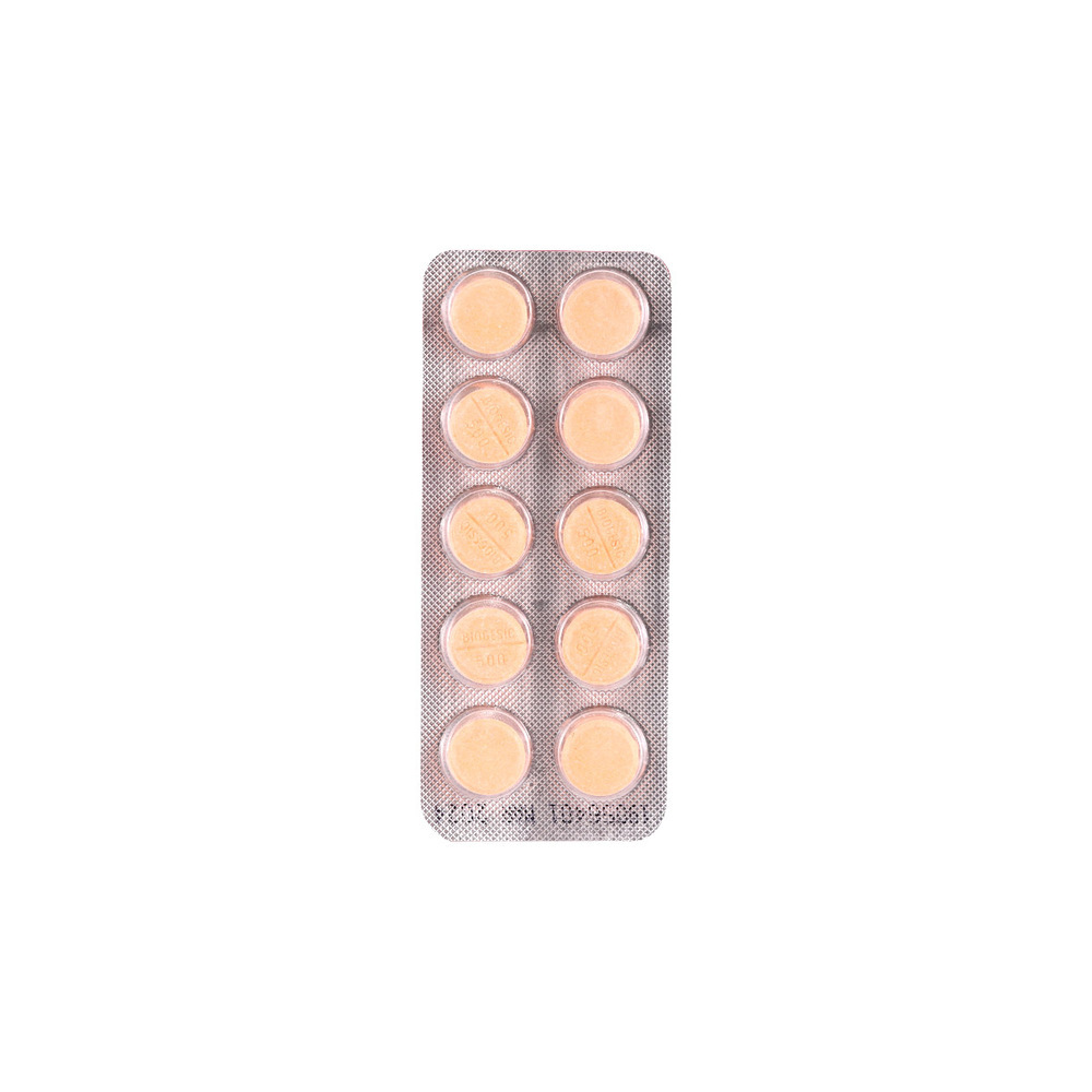 Biogesic 500MG 10Tablets