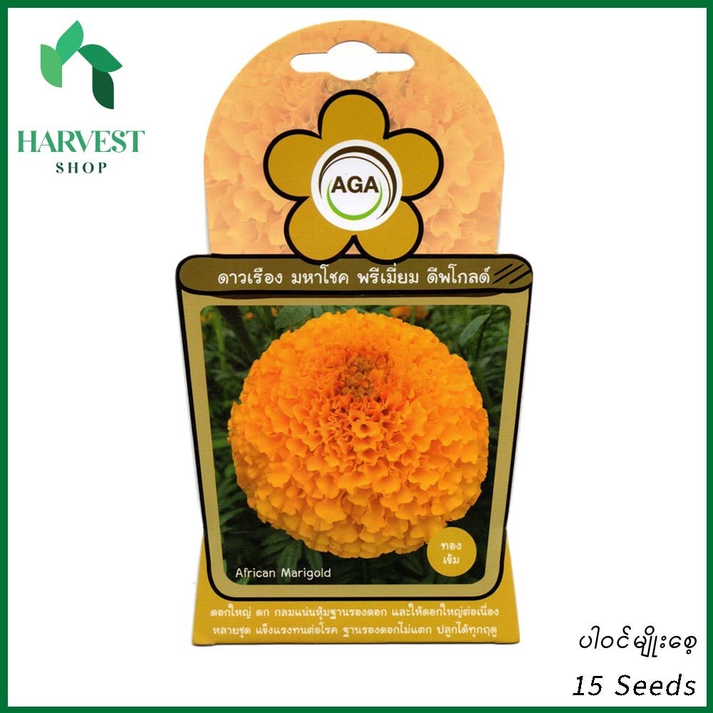 Harvest Shop အာဖရိကန်ထပ်တရာအဝါမျိုးစေ့ A 006