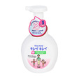 Kirei Kirei Foaming Hand Soap Antibacteria 250 ML