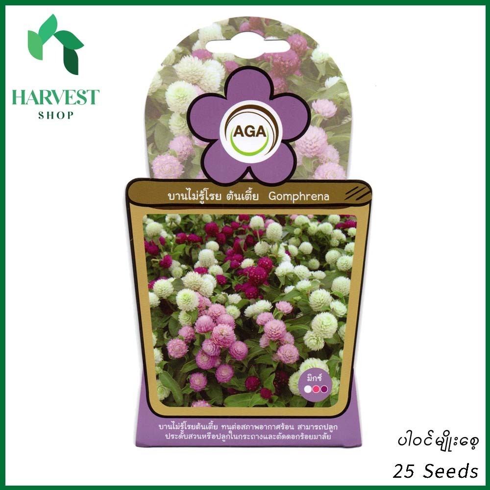 Harvest Shop ဘောလုံးပန်းအပုမျိုးစေ့ A 022