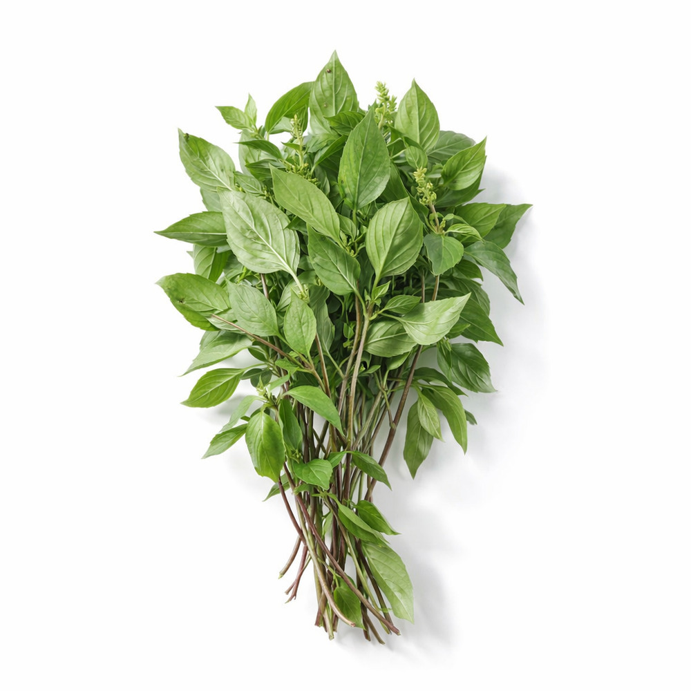 Thai Sweet Basil 50G