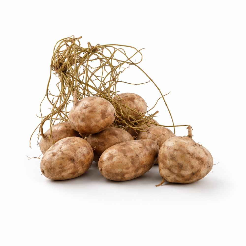 Jicama