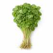 Indian Pennywort 150G