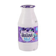 Dutch Mill Yoghurt Blueberry 100ML