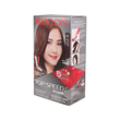 Revlon Top Speed Hair Color Lady