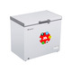 Master Chest Freezer MCF-255ES Gray