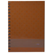 Campap Ring Note Book 100 Sheets Ca-3172